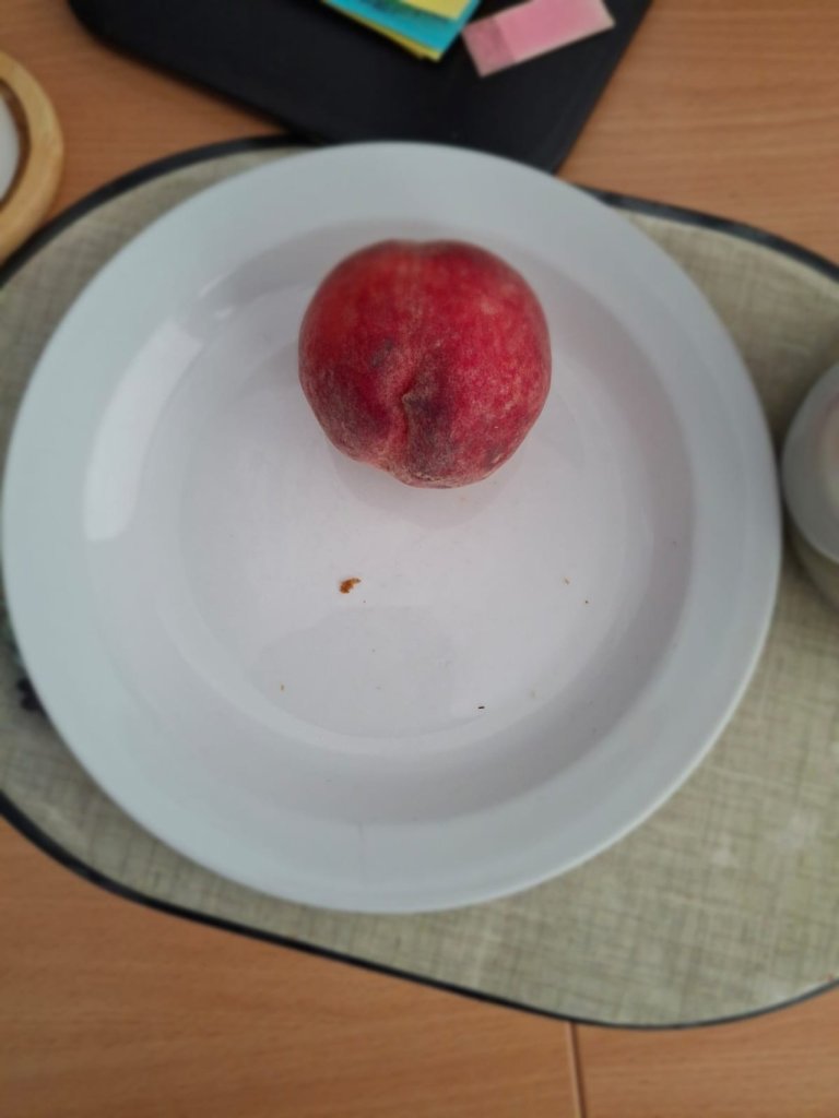 Fotografie po úpravě