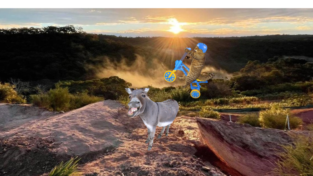 Fotografie před úpravou