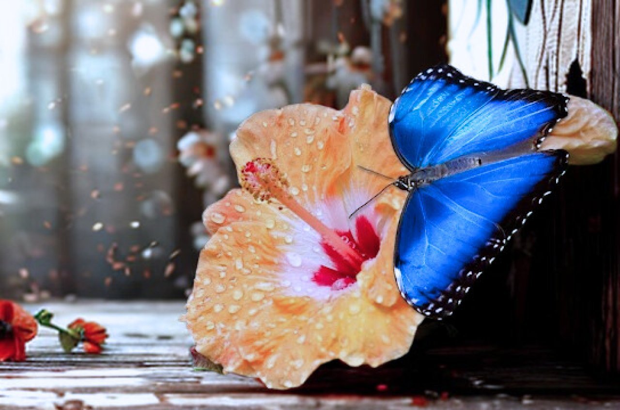 Fotografie po úpravě