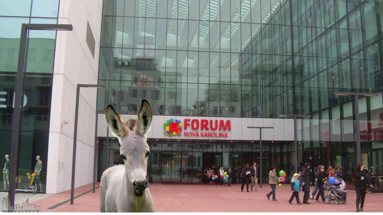 Fotografie před úpravou