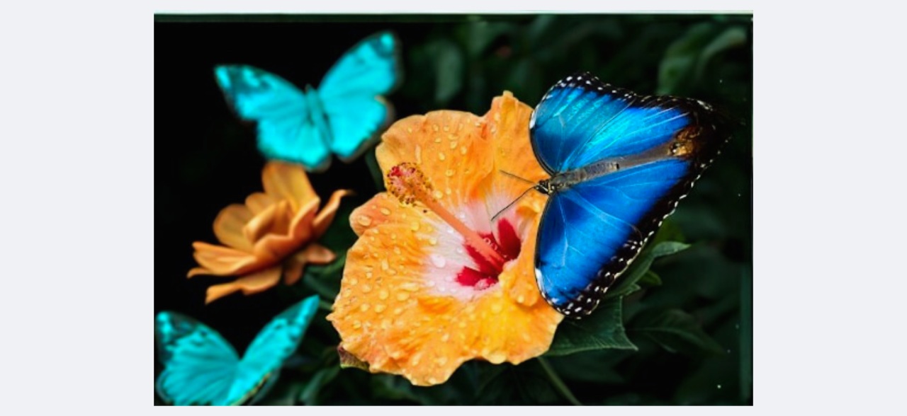 Fotografie po úpravě