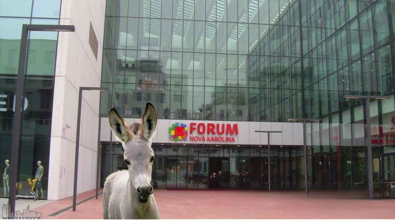 Fotografie po úpravě