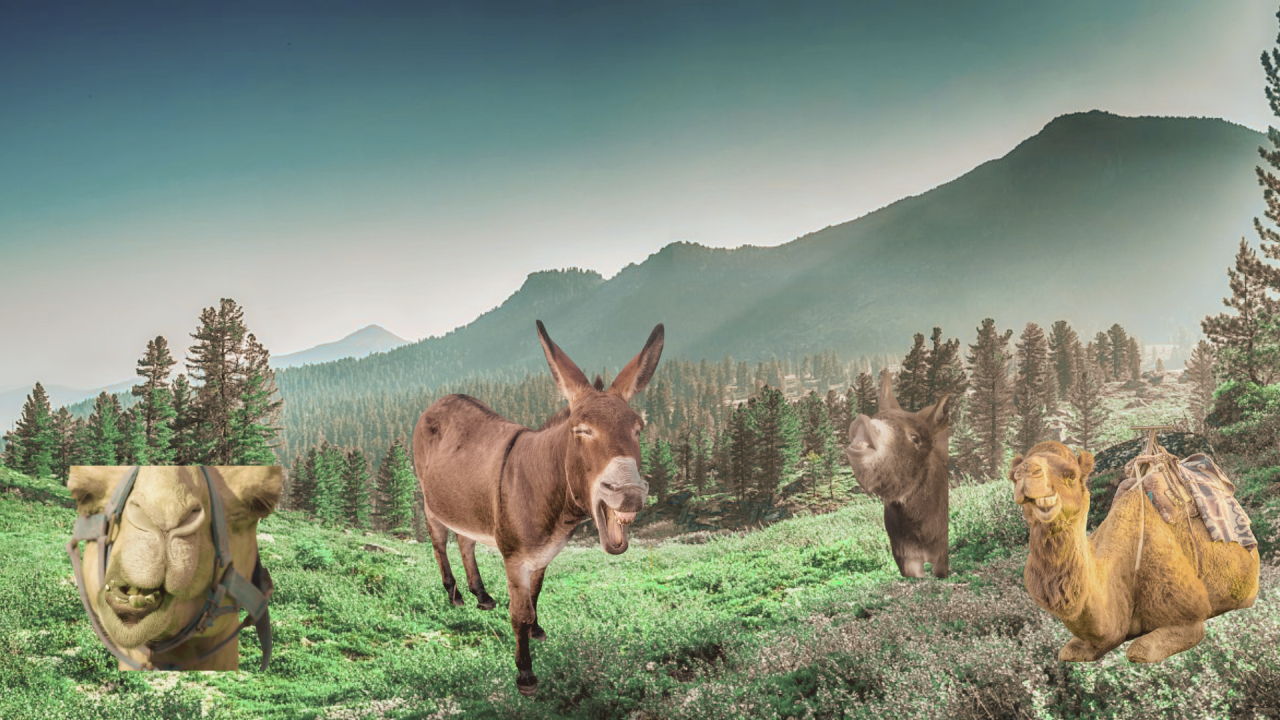 Fotografie po úpravě