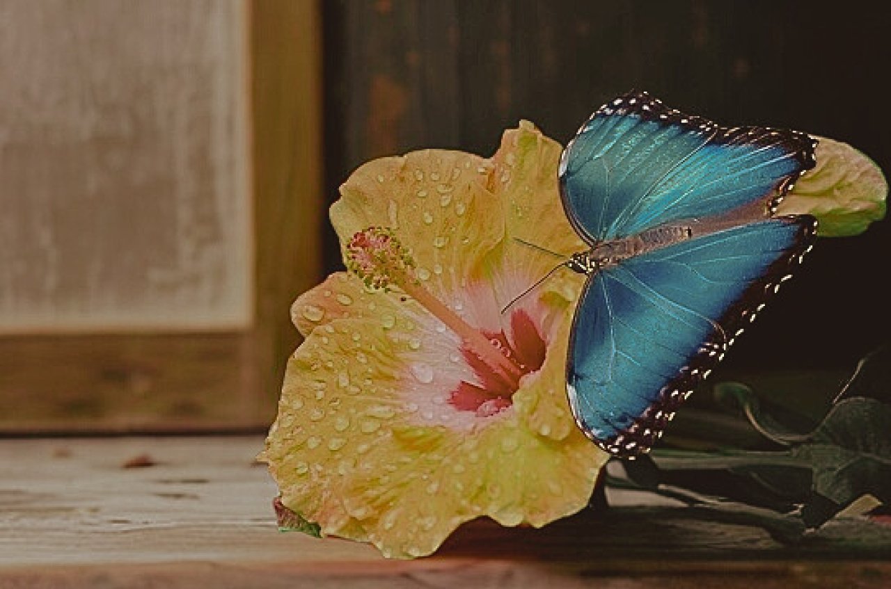 Fotografie po úpravě