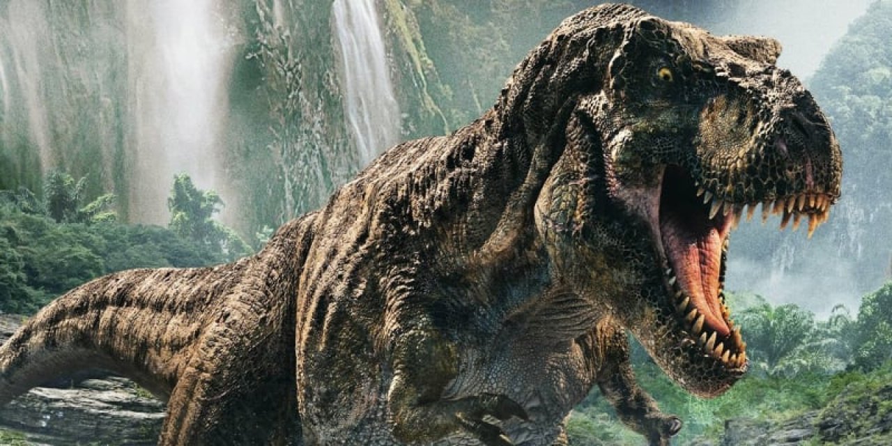 Fotografie před úpravou