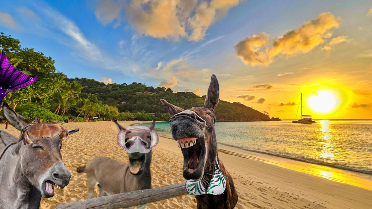 Fotografie před úpravou