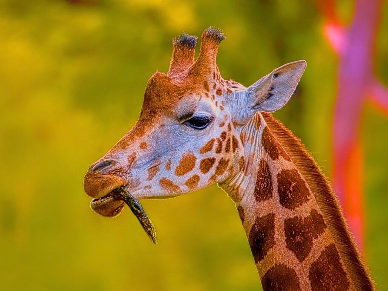 Fotografie po úpravě