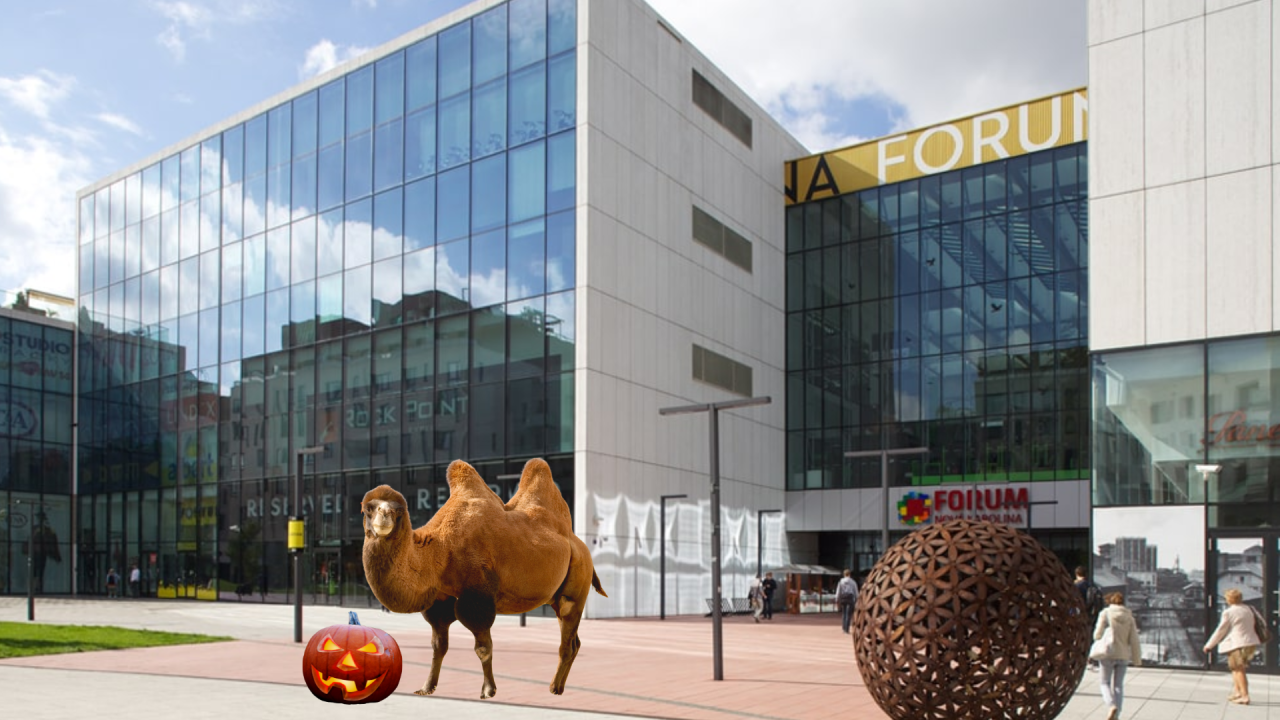 Fotografie po úpravě