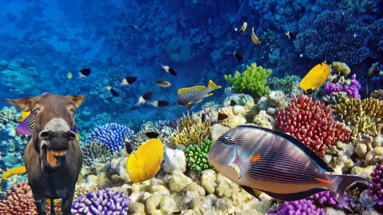 Fotografie před úpravou