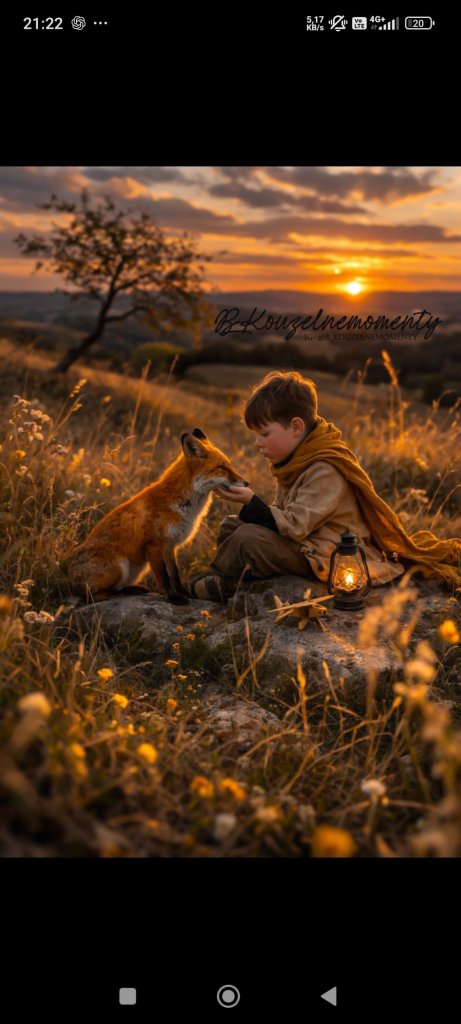 Fotografie po úpravě