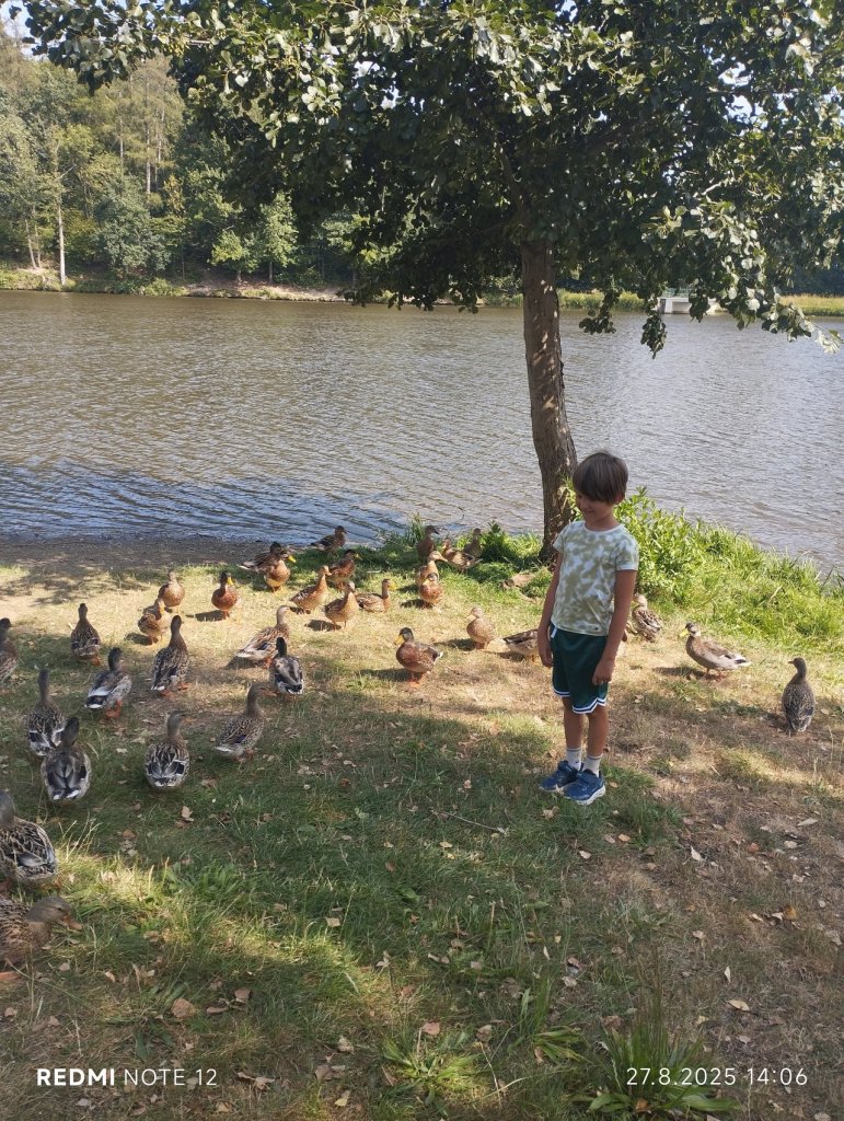 Fotografie před úpravou