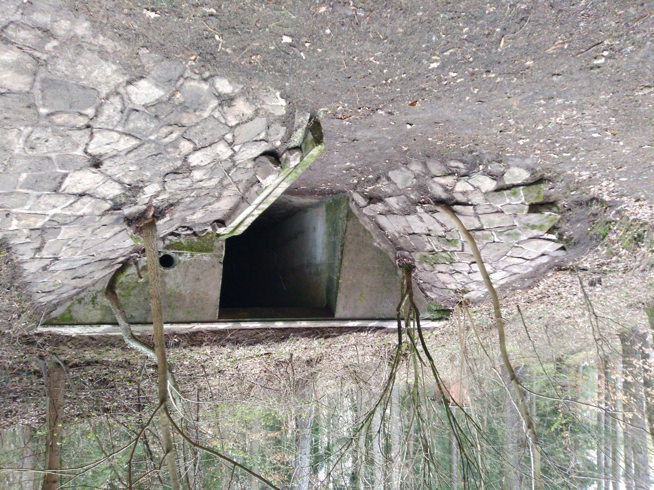 Fotografie před úpravou