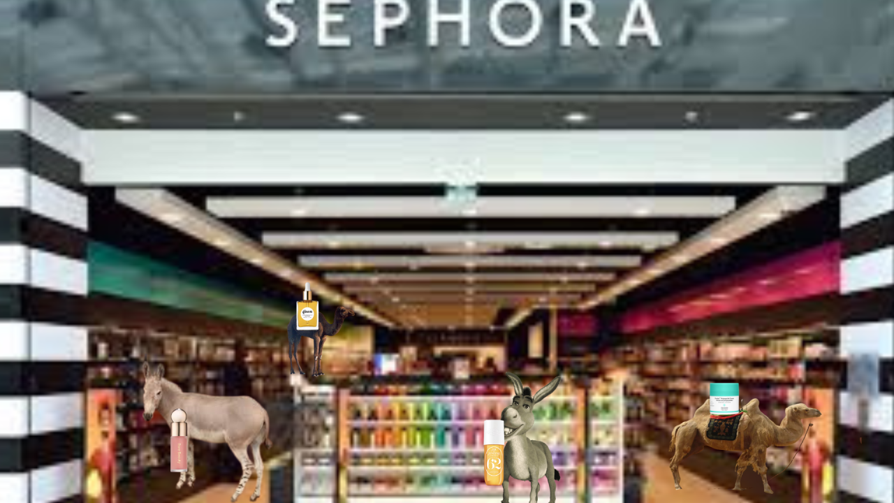 Fotografie po úpravě