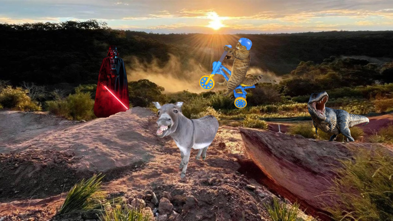 Fotografie po úpravě