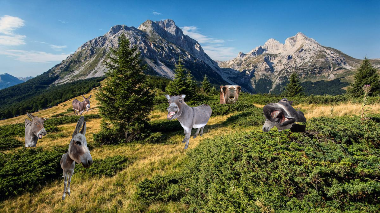 Fotografie před úpravou