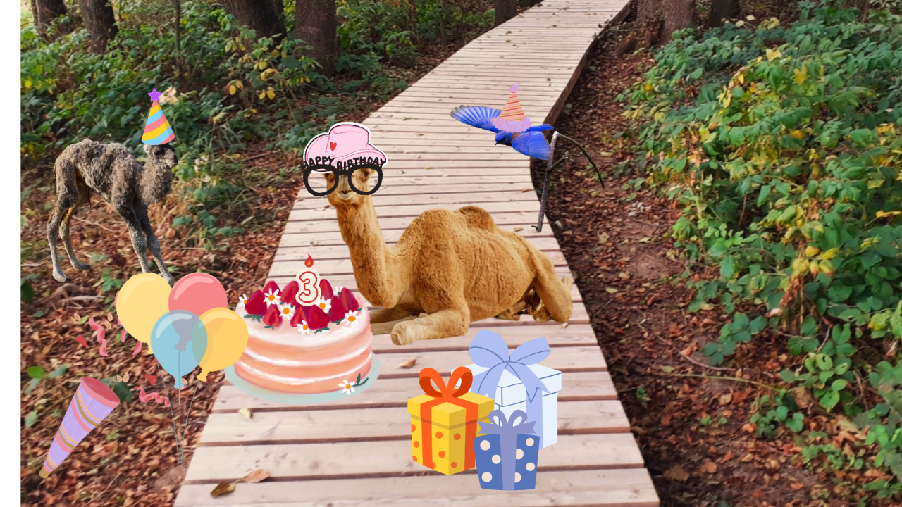 Fotografie před úpravou