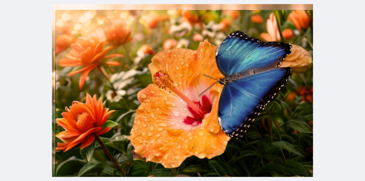 Fotografie po úpravě