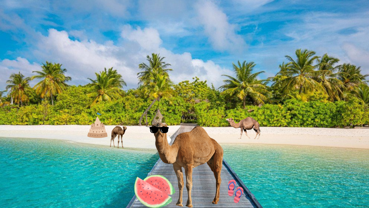 Fotografie před úpravou