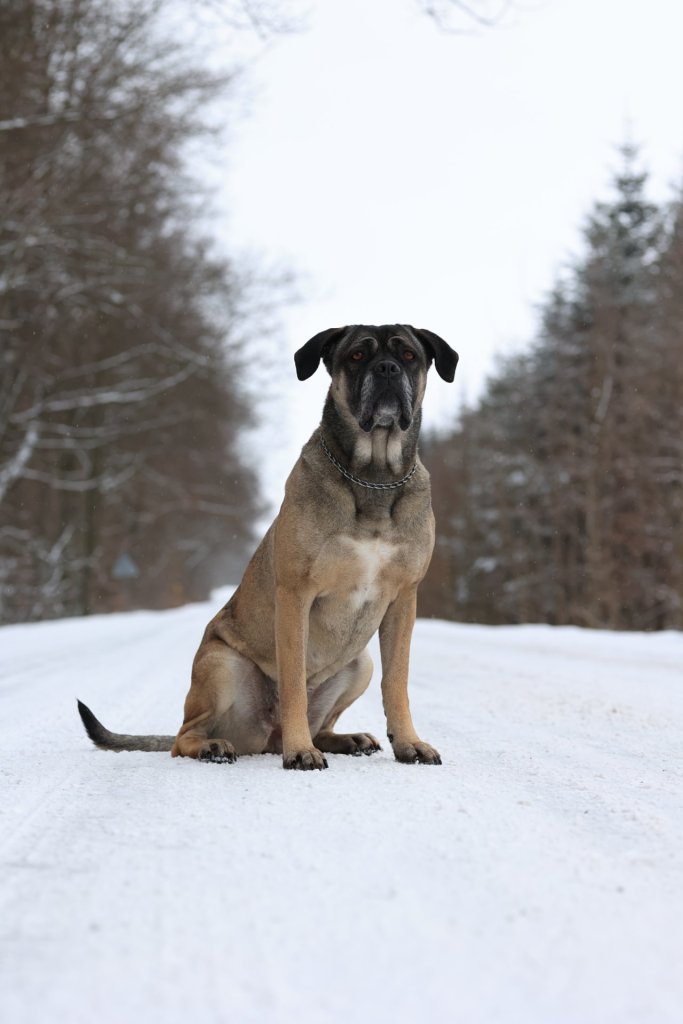 Fotografie před úpravou