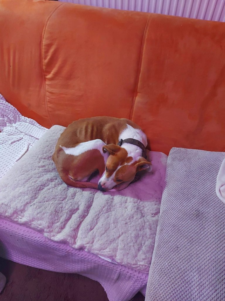 Fotografie před úpravou