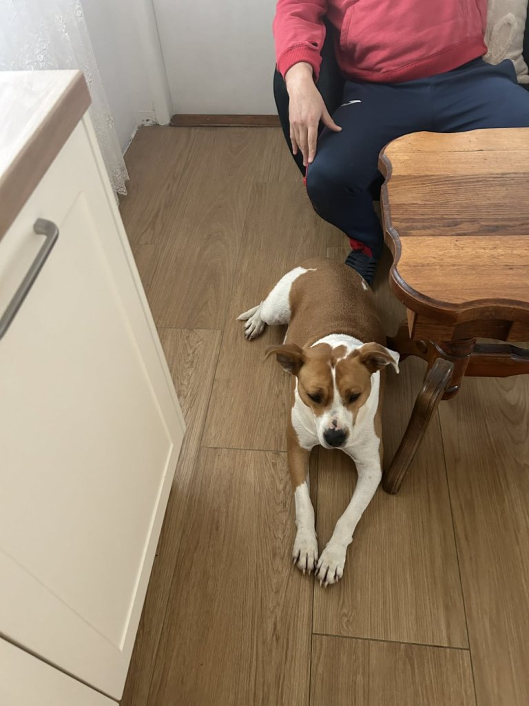 Fotografie po úpravě