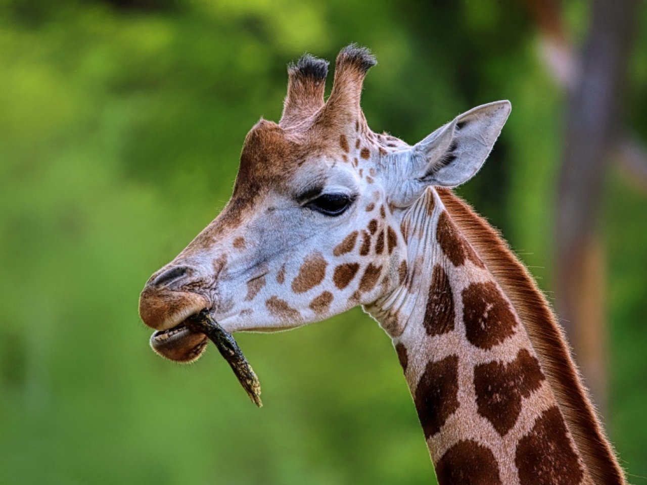 Fotografie před úpravou